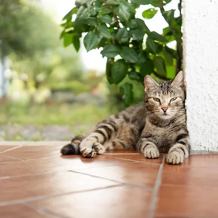 Casa Iriai * Dorgali
