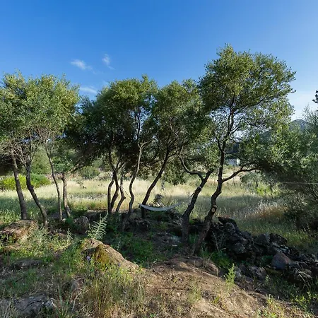 Holiday home Casa Iriai Dorgali