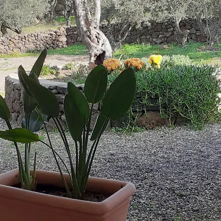 Casa Iriai Holiday home Dorgali