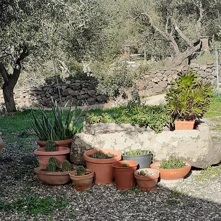 Holiday home Casa Iriai Dorgali